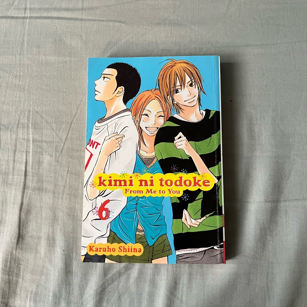 Kimi ni Todoke Manga Volume 6